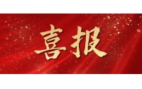 喜報(bào)！仙鶴控股集團(tuán)榮獲衢州市長(zhǎng)特別獎(jiǎng)-社會(huì)貢獻(xiàn)獎(jiǎng)一等獎(jiǎng)——旗下哲豐新材料和夏王紙業(yè)總經(jīng)理也雙雙獲獎(jiǎng)